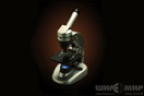 Микроскоп Levenhuk 40L NG 